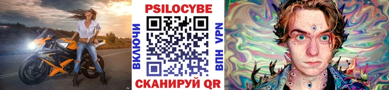 купить наркоту  Венёв  Псилоцибиновые грибы MAGIC MUSHROOMS 